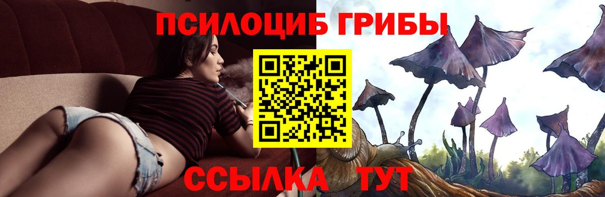 Псилоцибиновые грибы Psilocybine cubensis Урус-Мартан